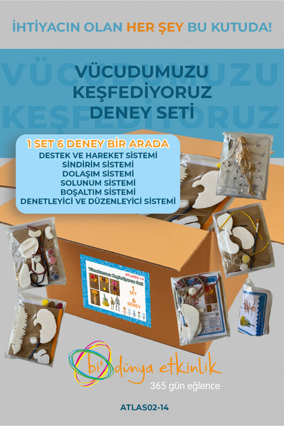 bi dünya etkinlik Vücudumuzu Keşfedelim Deney Seti | 02-14