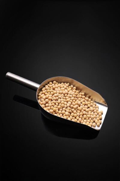 Chavin Steel 28 cm No: 4 Flat Base Spice Nuts Pulses Ration Shovel Cin983