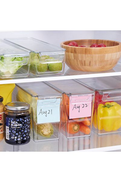 erorex Storage box for fridge, transparent, 32x10x14 cm