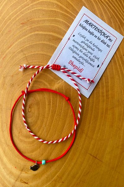 Shepidi Red Rope 6 Pieces (3 Sets of 2) Silver Bird Martenicca Luck Bracelet