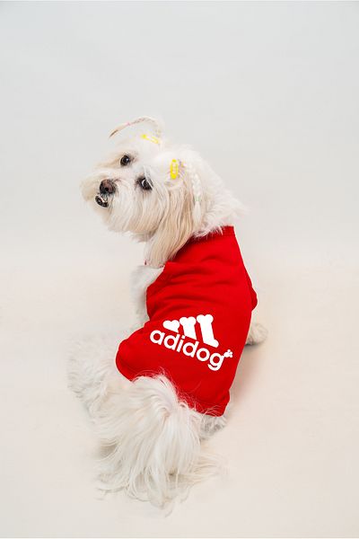 Buddy Store Cat & Dog Outfit Clothes Clothes - Adidog Printed Package Series 3 Pieces Single Price