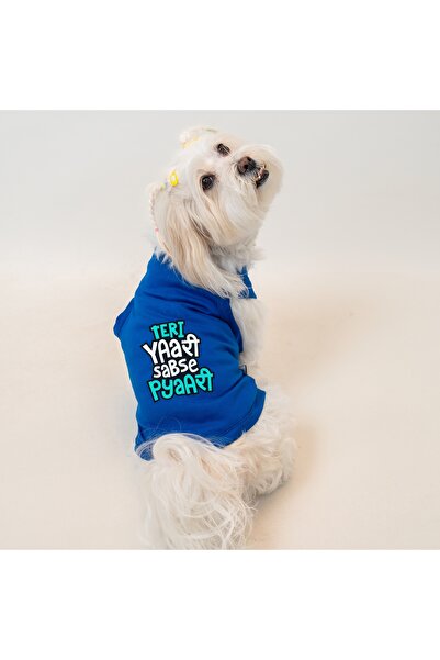 Buddy Store Kedi & Köpek Kıyafeti Giysileri Kıyafetleri - Baskılı Saks Mavi A...