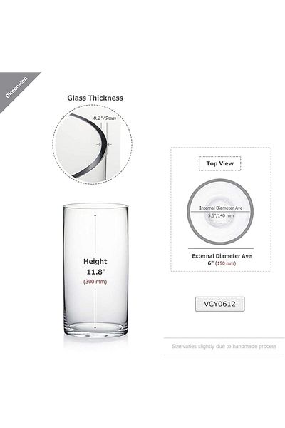 Encounter Glass Cylinder Vase (Clear, Width 4in, Height 7.8in)