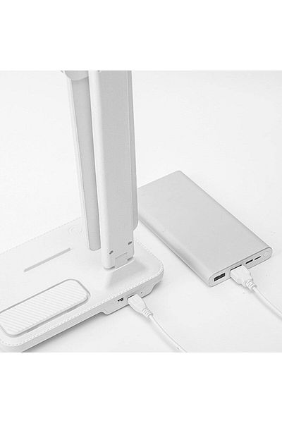COOYA Double Head LED Desk Lamp,With Pen holder,Table Lamp, Rechargeable, Eye-Caring