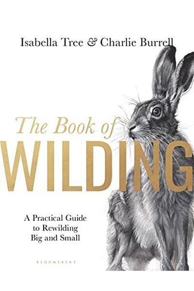 Bloomsbury The Book Of Wilding A Practical Guide To Rewilding Big And Small