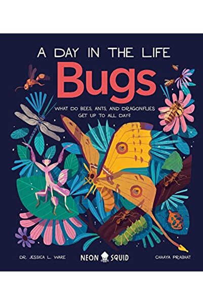 Neon Squid Bugs A Day In The Life What Do Bees Ants And Dragonflies Get Up To All Day