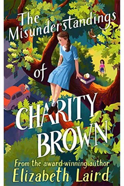 Pan Macmillan Misunderstandings Of Charity Brown