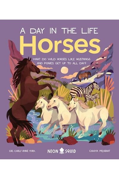 Neon Squid Horses A Day In The Life What Do Wild Horses Like Mustangs And Pon...