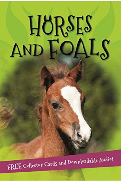 Pan Macmillan Its All About Horses And Foals
