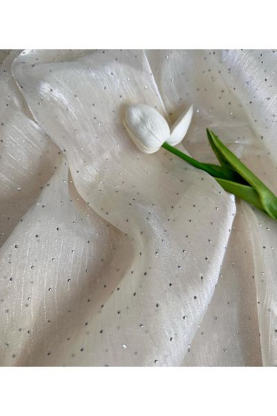 Hayalet kumaş Imported Shiny Organza with Stones