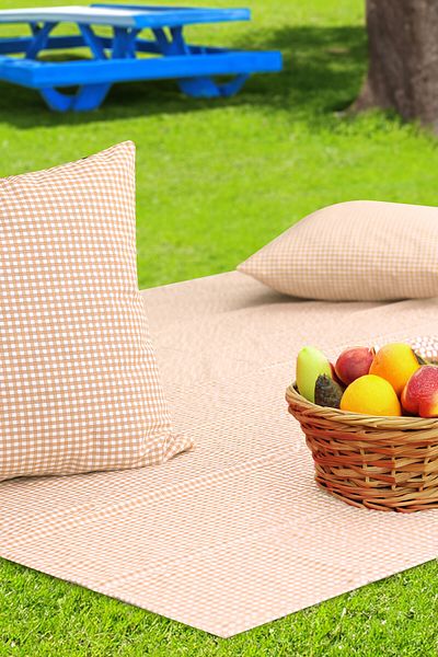 Soft Kare Gingham 170*170 Picnic Mat and 2Pcs 45*45cm Cushions