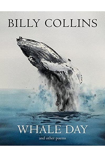 Pan Macmillan Whale Day