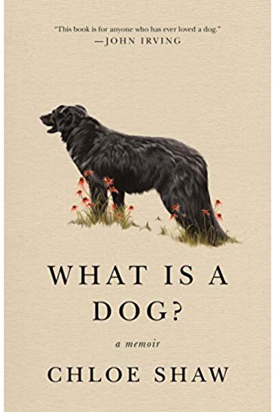 Flatiron Books What Is A Dog A Memoir