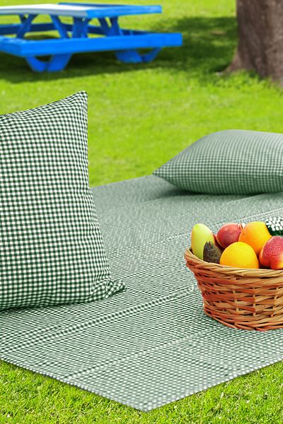 Soft Kare Gingham 170*170 Picnic Mat and 2Pcs 45*45cm Cushions