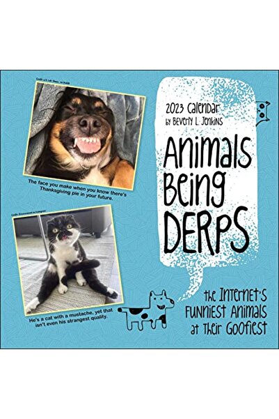 Andrews McMeel تقويم حائطي لحيوانات مضحكة 2023 أطرف الحيوانات على الإنترنت في...