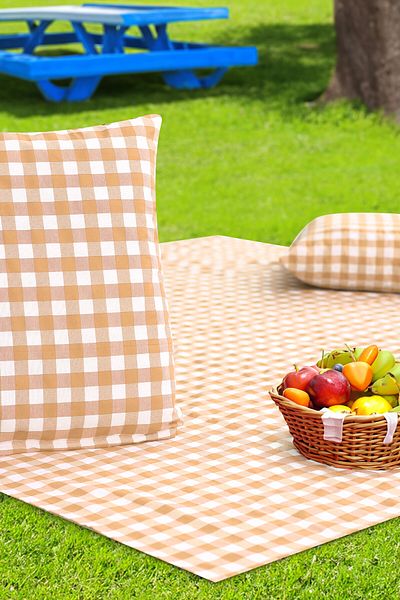 Soft Kare Cluster of 2 45*45cm Cushions with Large Checkered Picnic Mat