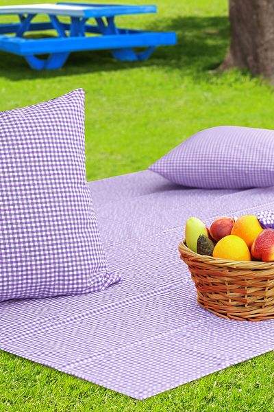Soft Kare Gingham 170*170 Picnic Mat and 2Pcs 45*45cm Cushions