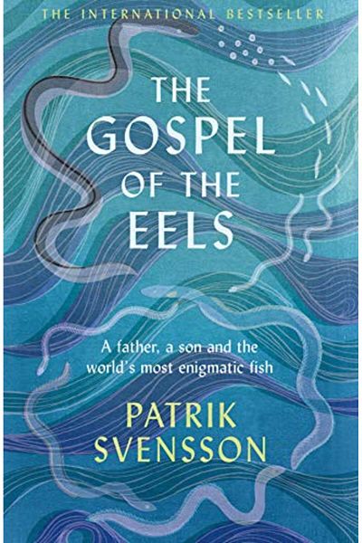 Pan Macmillan Gospel Of The Eels