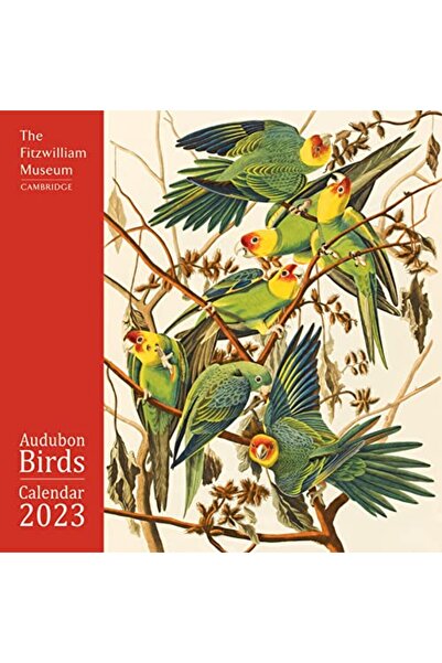 Flame Tree Publishing تقويم حائط طيور أودوبون من متحف فيتزويليام 2023