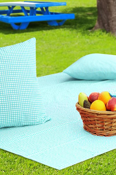 Soft Kare Gingham 170*170 Picnic Mat and 2Pcs 45*45cm Cushions