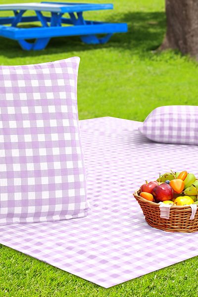 Soft Kare Cluster of 2 45*45cm Cushions with Large Checkered Picnic Mat