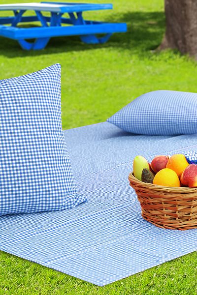 Soft Kare Gingham 170*170 Picnic Mat and 2Pcs 45*45cm Cushions
