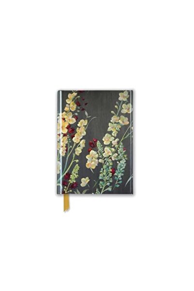 Flame Tree Publishing نيل واتمور رعاية محبة وعطاء