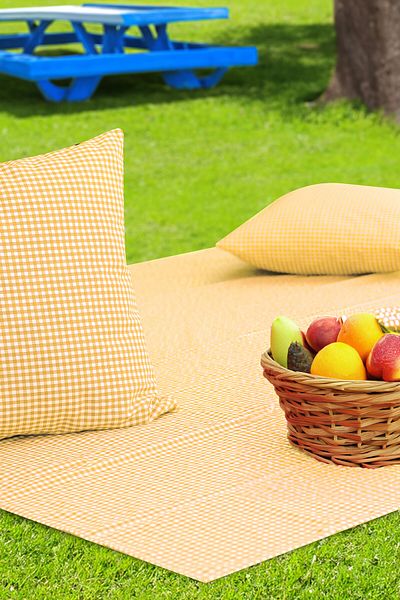 Soft Kare Gingham 170*170 Picnic Mat and 2Pcs 45*45cm Cushions