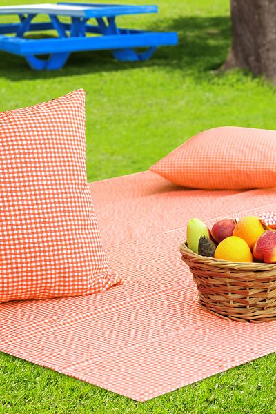 Soft Kare Gingham 170*170 Picnic Mat and 2Pcs 45*45cm Cushions