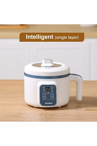 Choice European regulations 220-230 volts 200444-InSingle Electric Rice Cooker Single Double Layer 220V Mul