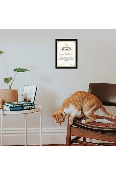 AKDC Certificate Frame 28x10.2cm with White Mat & Real Glass for Wall/Table A4 [Pack of 2]