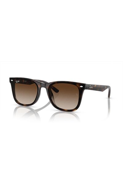 Ray-Ban Sunglasses Rb4420 65 710/13