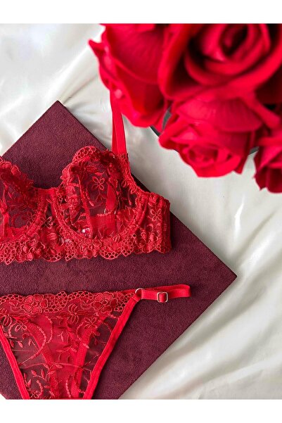 CES'Y LİNGERİE Plus Size Tulle Brode Bra Set (C Cup)