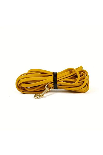 Choice 3m Ginger-colored Dog Leash 3m 6m 9m Long Pvc Pet Leashes Easy To Clean Rope Waterproof Training Lea
