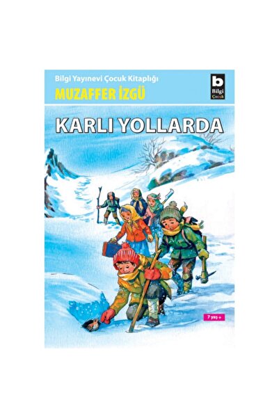 Bilgi Yayınevi Karlı Yollar