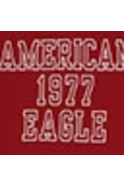 AMERICAN EAGLE AE Super Soft Icon Graphic Crew