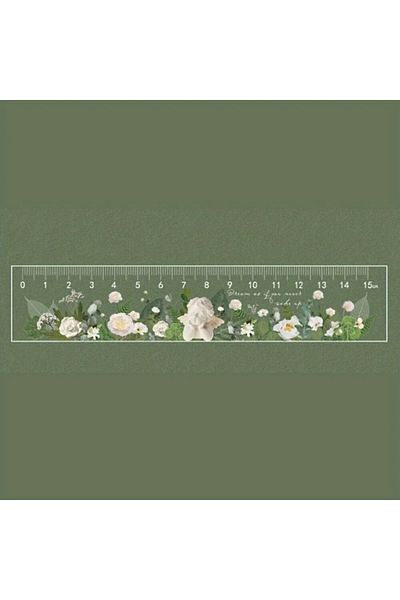 Choice 04 Clear Acrylic 15cm School Ruler with Centimeters - Durable and Easy-to-Read