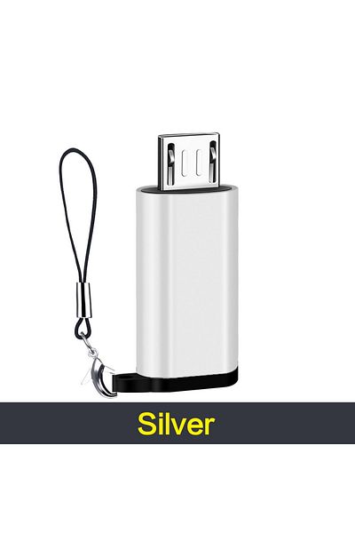 STONEGO Silver STONEGO Type C to Micro USB Adapter, Type C Female to Micro USB Male Convert Connector Suppor