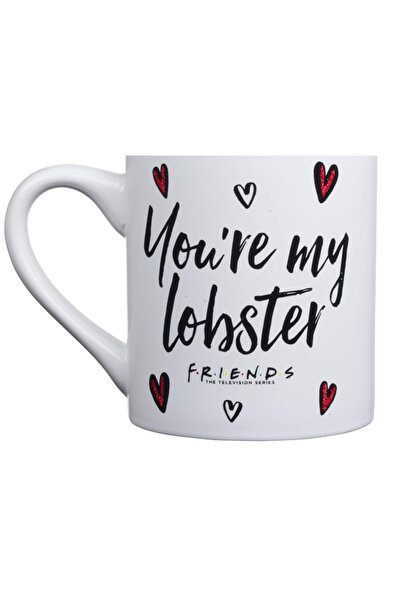 Be Care Silver Buffalo Friends You're My Lobster Ceramic Mug, 14 oz,