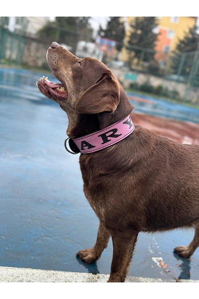 MgTasma Genuine Buffalo Leather Name Printed Neck Collar