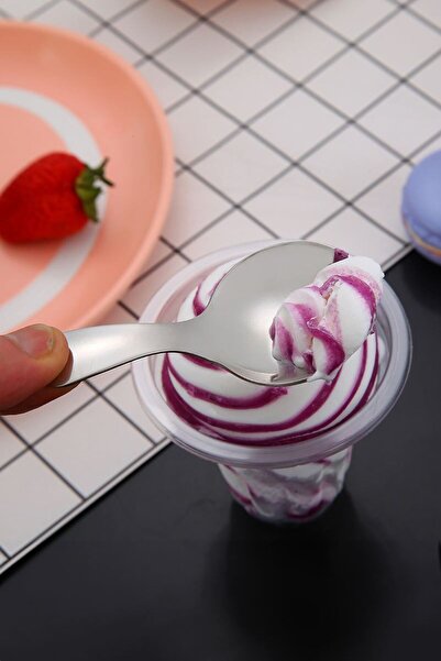 Chavin 304 Steel Mini 9 cm Dessert Ice Cream Custard Spice Spoon Cin752Byx