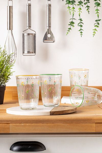 FH finehome Botanical 4-Piece Soft Drink Glass Set 395 cc