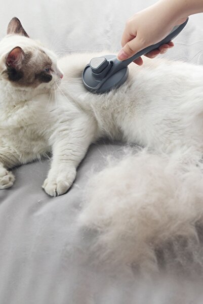 Weather Forecast Automatic Cleaning Professional Pet Brush Cat Dog Comb Cin431