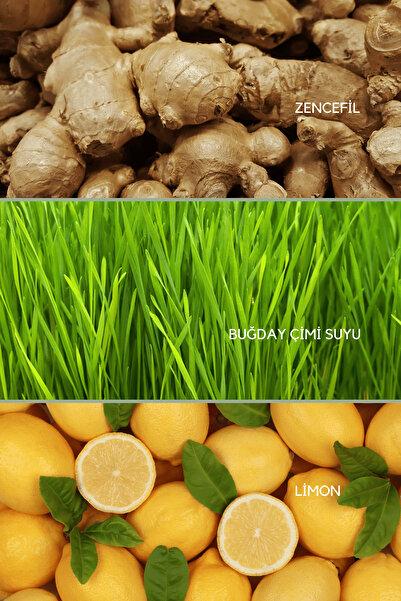 Ancient Greens Ginger Shot I Zencefil, Limon, Buğday Çimi Suyu Tozu Karışımı 72g 30 servis