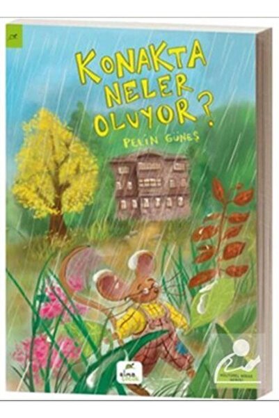 Elma Çocuk Konakta Neler Oluyor?
