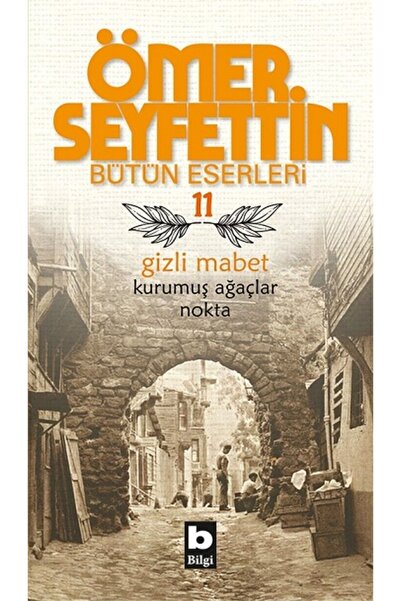 Bilgi Yayınevi Bütün Eserleri-11 Gizli Mabet
