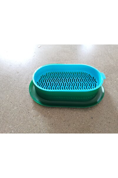 Choice 19x12.3x4.5cm Blue green New Pet Cat Sprout Dish Growing Pot Hydroponic Plant Cat Grass Germination