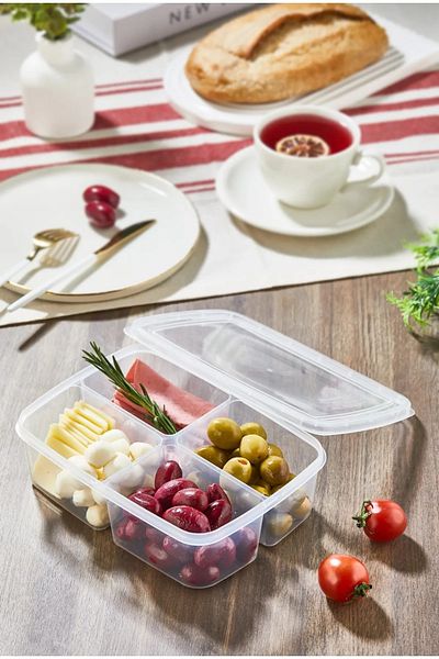Euro Pink 2 Pack (Pcs) 4 Compartment Refrigerator Organizer and Beard Container 250Mlx4 =1000Ml