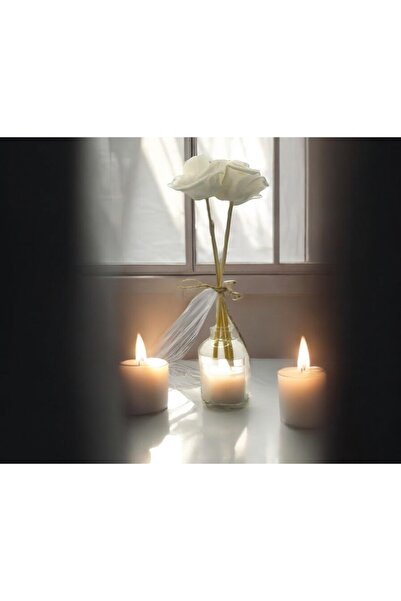 mislinapearls 3adet Fiber Bambu Çubukları 2 Adet Gül Koku Çubuğu Seti (KOKU DAHİL DEĞİLDİR)