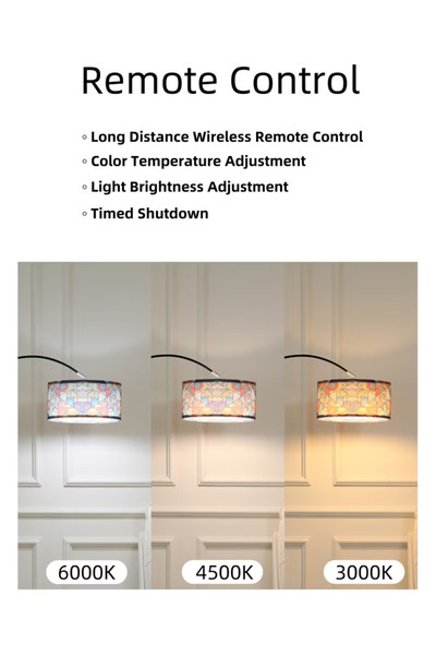 X SPRING National print floor lamp with Remote Control & 3-Color LED Light - Adjustable Lamp for Living Room